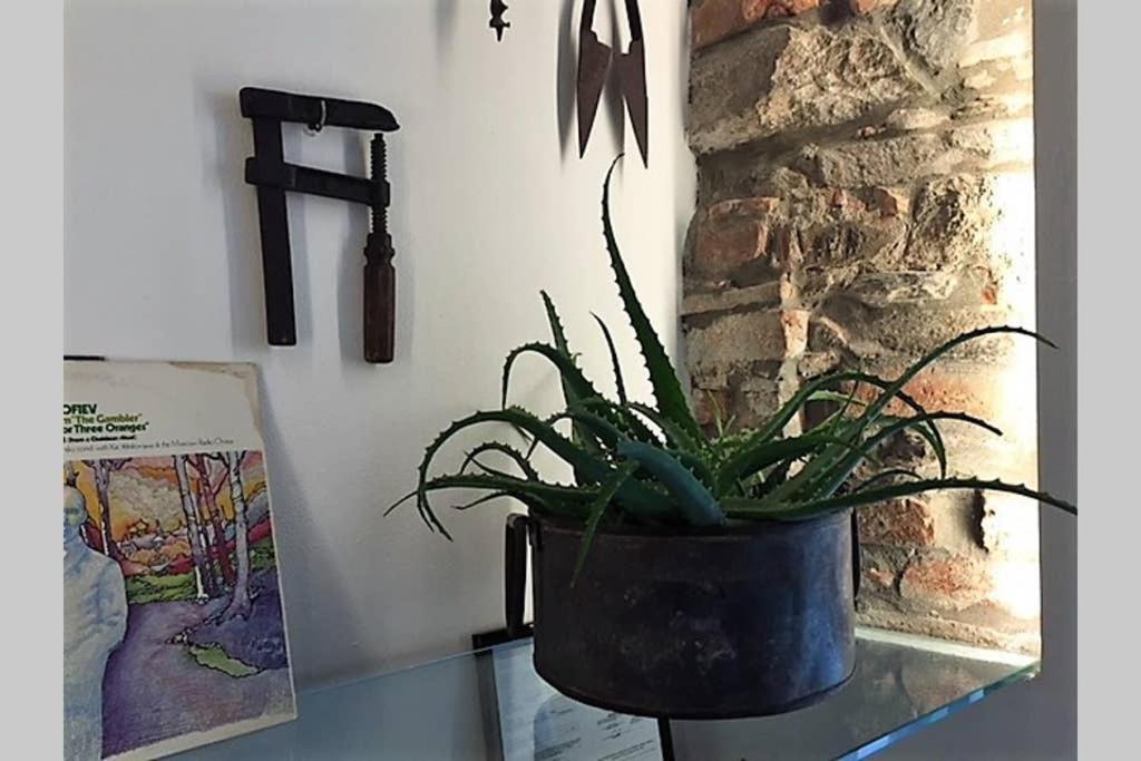 Casa Oliva Cinque Terre Apartman Manarola Kültér fotó